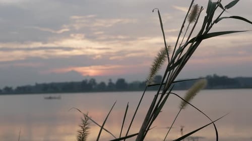 schöner und natürlicher Blick auf den See bei Sonnenuntergang