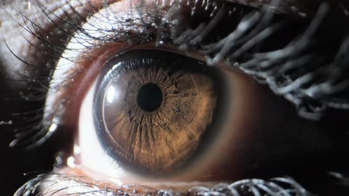 human closing the eye extreme close up view