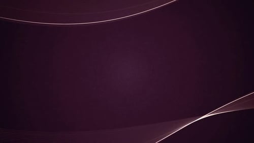 Black And White Lights Lines Animation Loop