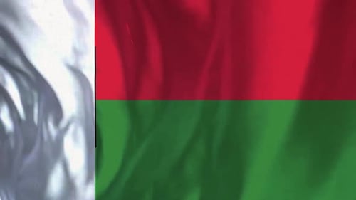 Waving Flag Fabric Animation Loop Background