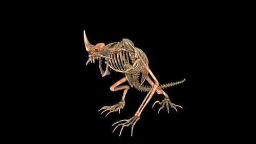 Devil Dinosaur Skeleton Roar Idle