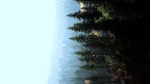 Vertical View of Foggy Mountains