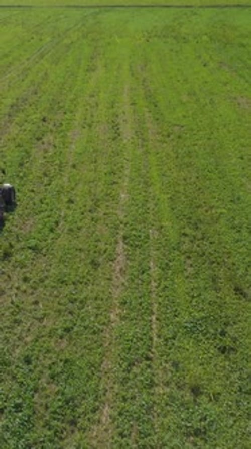 Vue aérienne d'un tracteur avec un épandeur appliquant des engrais minéraux sur un champ agricole vert