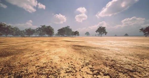 Moving Through a Dry Cracked Earth Landscape