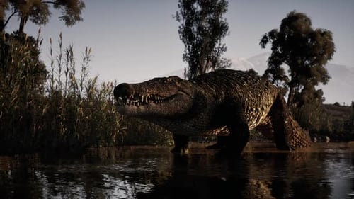 Crocodile se cache dans une eau calme près d'une végétation luxuriante au coucher du soleil