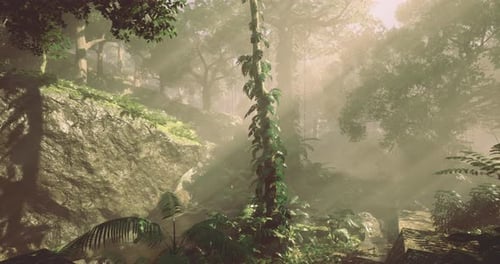 Sunlight Filters Through Dense Foliage in a Tranquil Forest Landscape