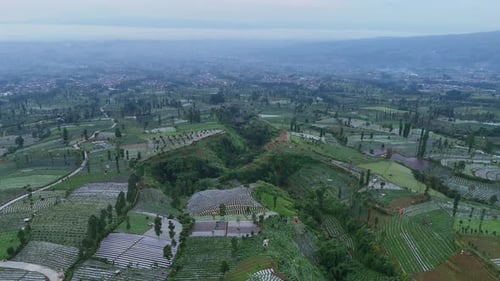 Drone aerial footage showcasing vast vegetable plantations on a scenic mountain slope.