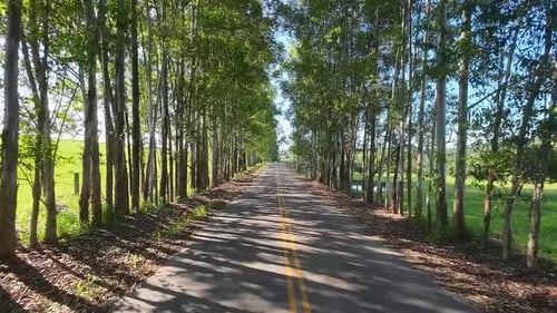 Rural Road at Rural Landscape in Countryside Scenery.