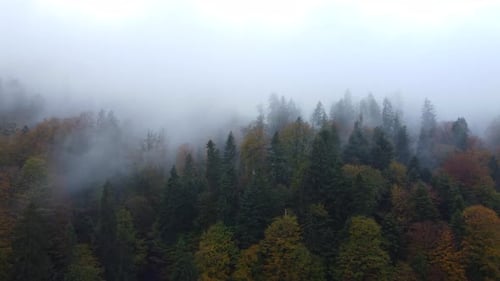 Aerial View of Foggy Mystical Landscape Scenery