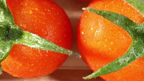Eine Nahaufnahme einer reifen Tomate, die mit Wassertröpfchen glitzert