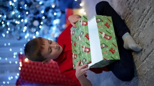 Boy Receives Christmas Gift With Joyful Surprise