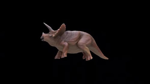 Triceratops-Dinosaurier greift an