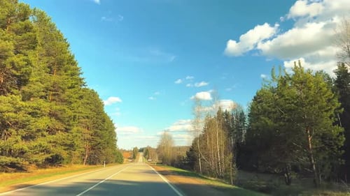 Malerische Asphaltstraße, die durch Nadelwälder unter blauem Himmel führt