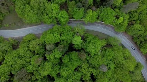 Above Picture of Cars and Road Surrounded By Forests in Countryside Irrl