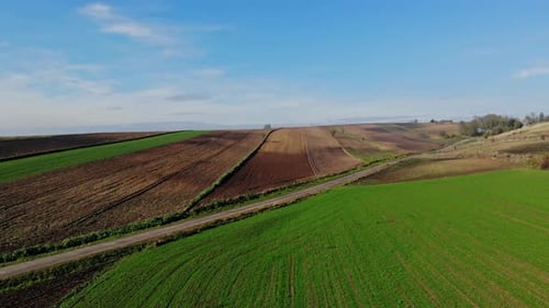 Aerial View of Cultivated Rural Fields Landscape