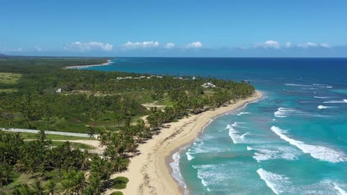 Wild Caribbean Shore with Coconut Palm Trees and Turquoise Sea