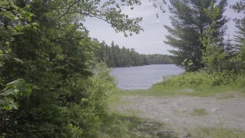 ontario canada wilderness forest nature lake summer observation