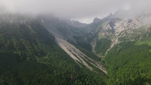 Beautiful mountain peaks in the clouds surrounded by a dense green forest. Alpine atmosphere.