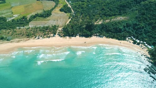 Aerial View of Tropical Sandy Beach and Blue Ocean Top View of Ocean Waves Reaching Shore on Sunny