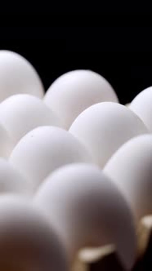 Fresh White Eggs in Carton Close Up