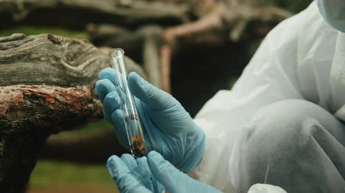 Taking Probe of Soil in Forest Geologist Man Worker Taking Measurements of Soil Probe By Scientific