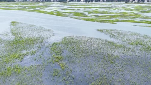 Aerial Drone Footage of Wetland and Tidal Pools Near Ocean Coast