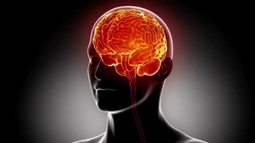 Glowing 3D Human Brain with Neural Activity