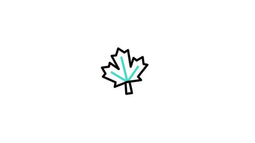 Maple Leaf Animated Icon