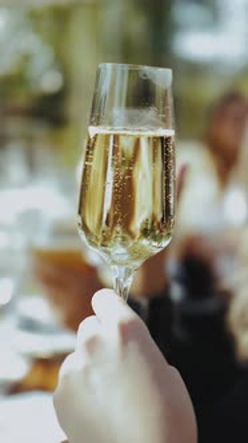 Close up of a champagne glass held by adult