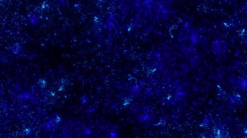 Blue Particles Loop