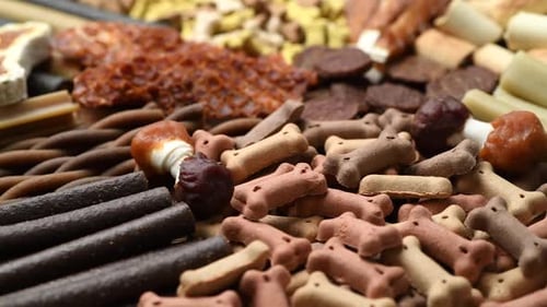Paws itively delicious the ultimate guide to choosing the best dog treats