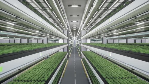 Modern Vertical Farm with Hydroponic Plants and LED Lighting