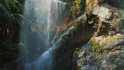 Ruhiger tropischer Wasserfall, der die moosbedeckte Felsklippe hinunterstürzt