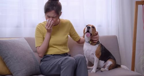 Woman With Allergies Pats Her Dog on the Couch