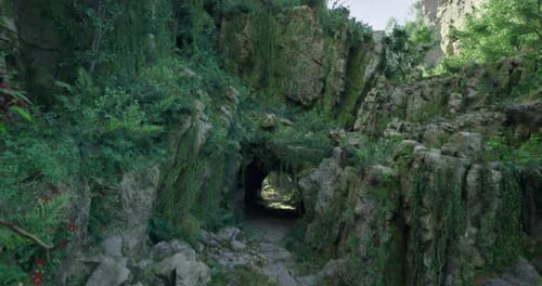 Lush Greenery Envelops Rocky Pathway Leading to a Sunlit Cave