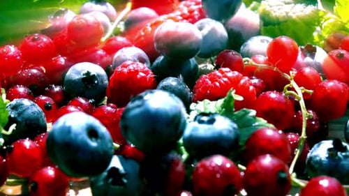 Fresh and colorful pile of summer berries