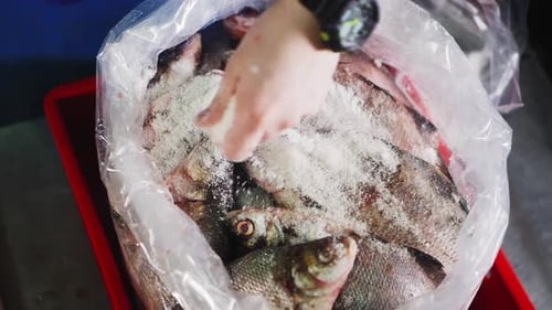 Man Pours Salt Onto Fish in Red Container Upper View