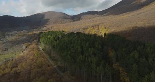 Aerial view of mountain and forest landscape, italy.
