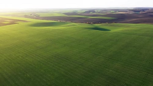 Strahlender Sonnenschein. Luftaufnahme des schönen landwirtschaftlichen Feldes bei Tag. Ländliche Landschaft
