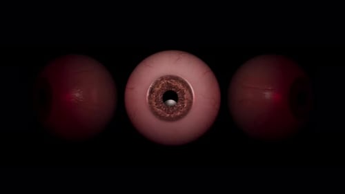 Realistic Eyeballs Floating and Gliding on Black Background