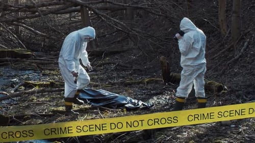 Forensic Specialist Working in the Forest Police Criminalists Collecting Evidence and Making