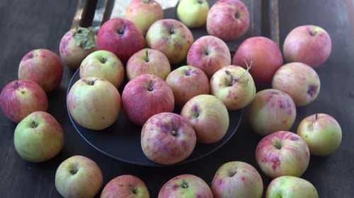 Apple Harvest Autumn Fruit Vitamin Food Red Apples with a Pink Dot