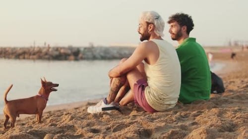 Casal homossexual apaixonado passa tempo juntos sentados na praia com seu cachorro