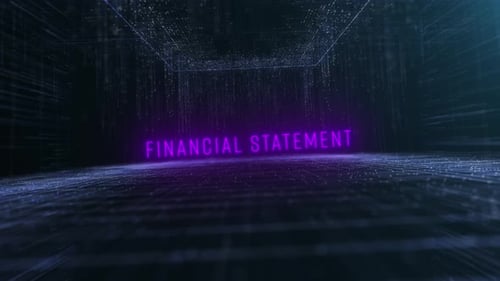 Dijital Data Flow Financial Statement