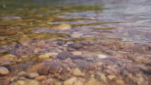 Rocks are visible below the clear water of a river. Shallow river shore with pebbles.
