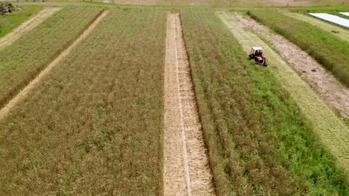 Tractor With Mowers Working On The Big Farm Field During Harvesting Season. - Aerial Shot
