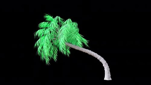Realistic 3D Animated Palm Tree Swaying in Tropical Wind