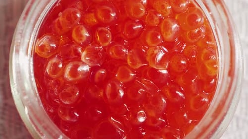 Red Caviar Close Up Salmon Caviar Delicious Gourmet Food Texture of Caviar