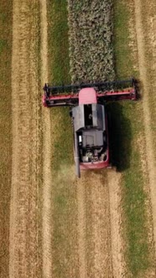 Aerial view of modern combine harvester in action. Wheat field at harvest time.