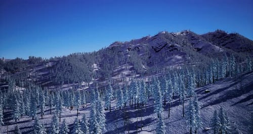 Snowy Mountain Landscape with Tall Trees Under Clear Blue Sky
